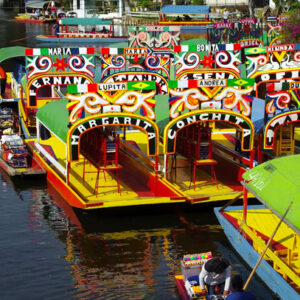 Xochimilco & Coyoacán